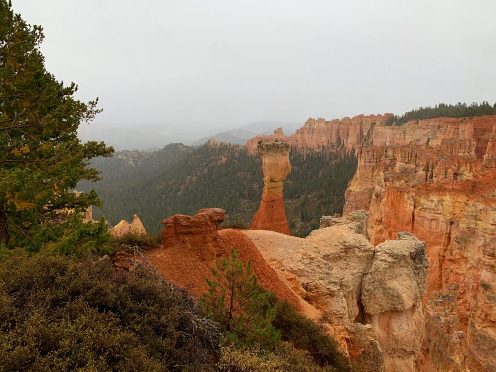 Bryce Canyon in the rain and fog