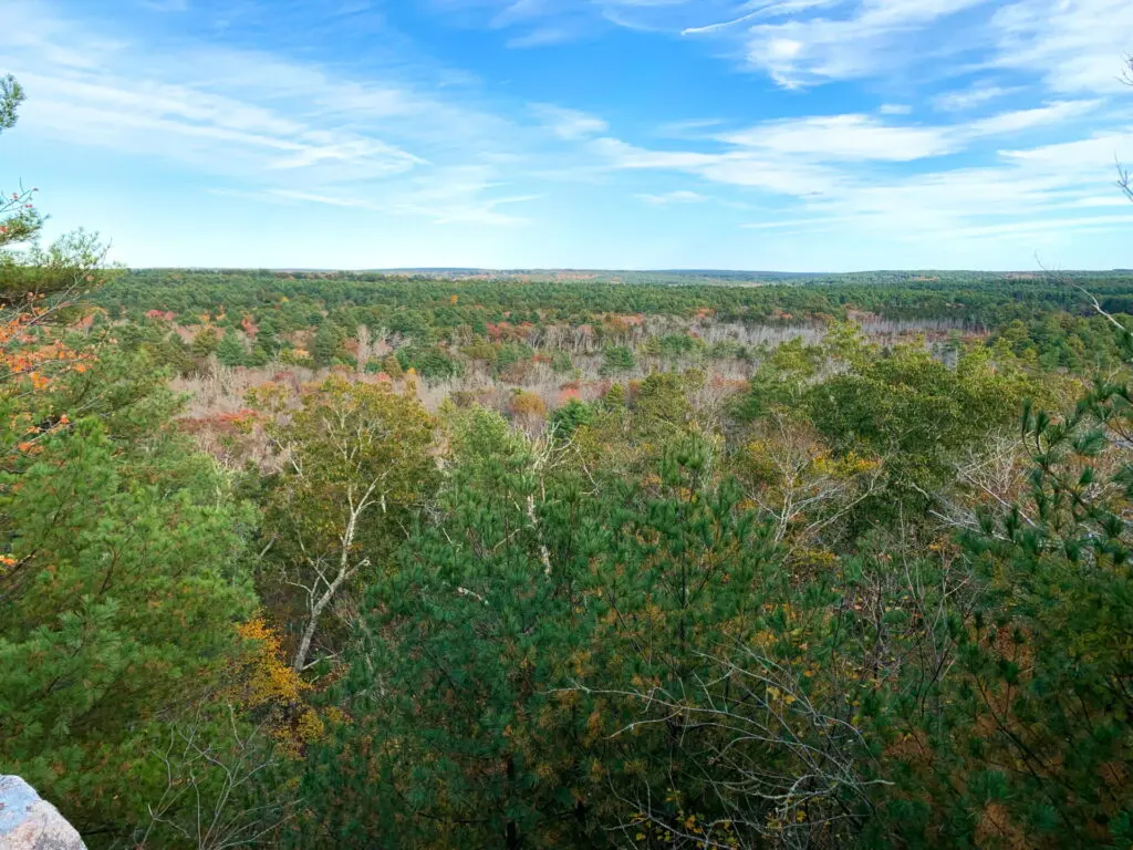 View from Mount Misery