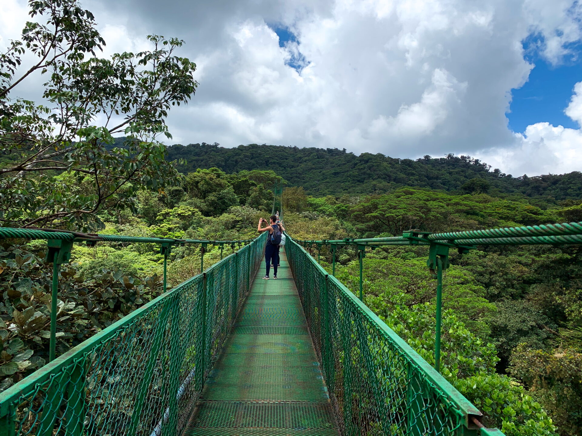 5 Fun Things to Do in Monteverde Costa Rica