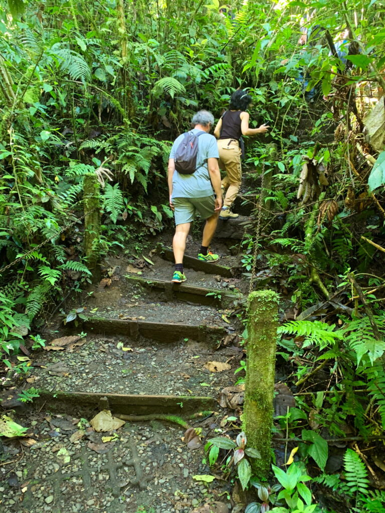 Hiking to Arenal Volcano