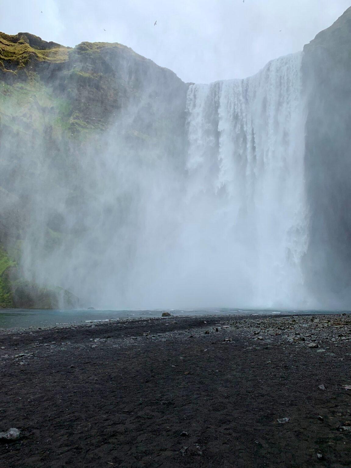 Five Days in Iceland Without a Car - Atlas Obsession