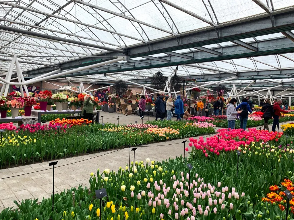 Pavilion featuring numerous tulip varieties
