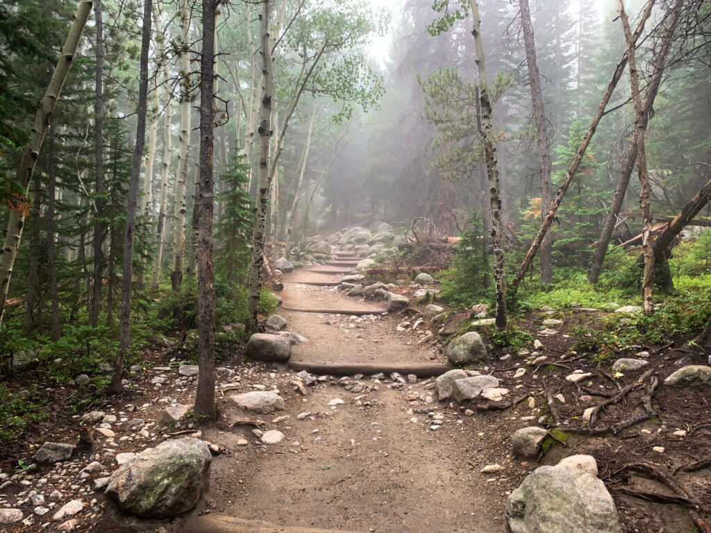 A view along the Sky Pond Trail