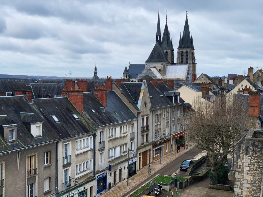 View of the city of Blois