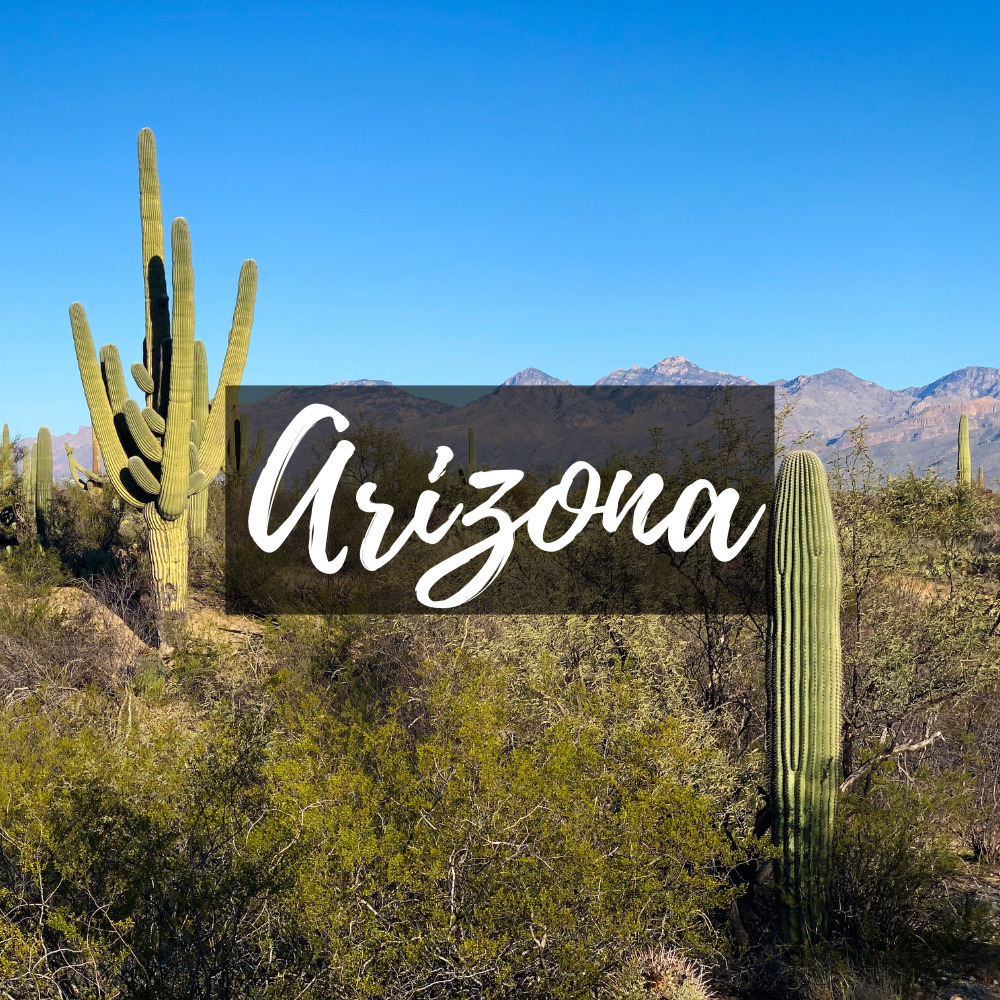 Arizona Icon