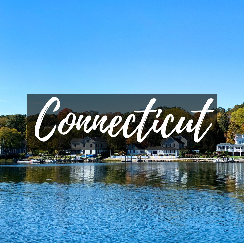 Connecticut Icon