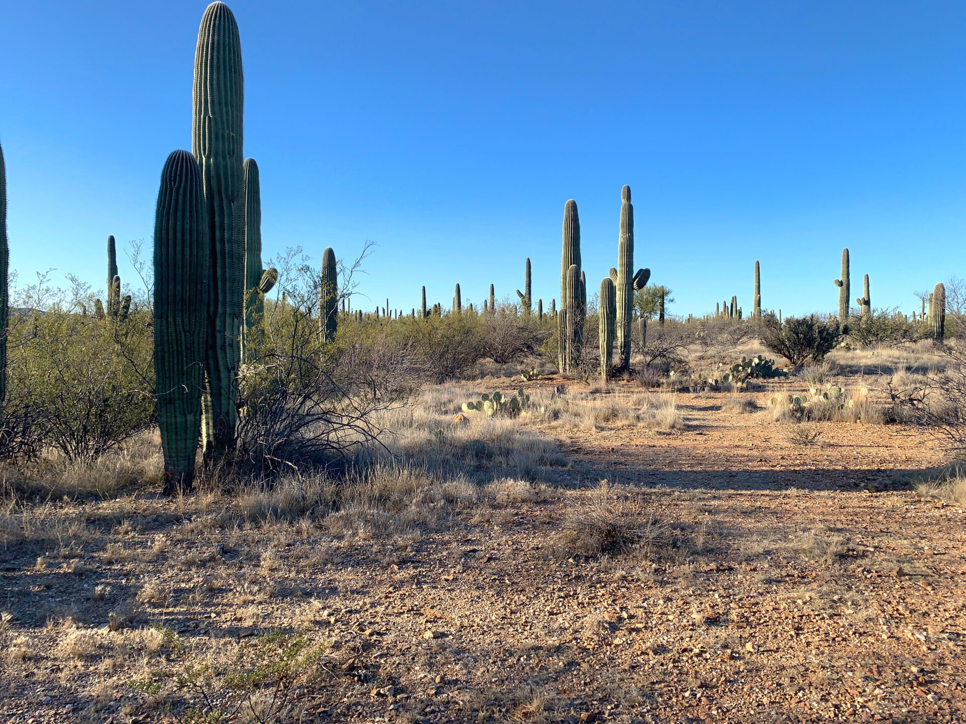 Arizona 5 Day Itinerary: Two Great Templates