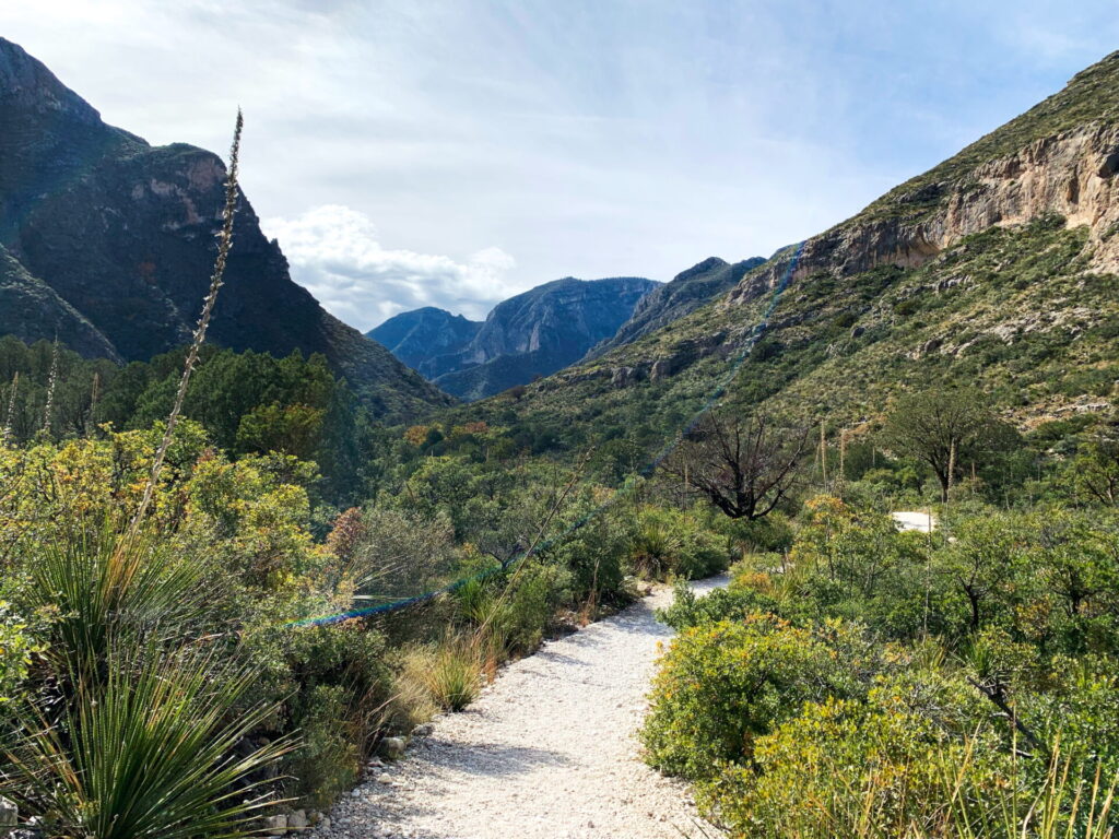 The Trail to The Notch at Guadalupe Mountains