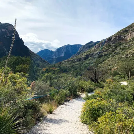How to Hike Guadalupe Peak – The Top Texas