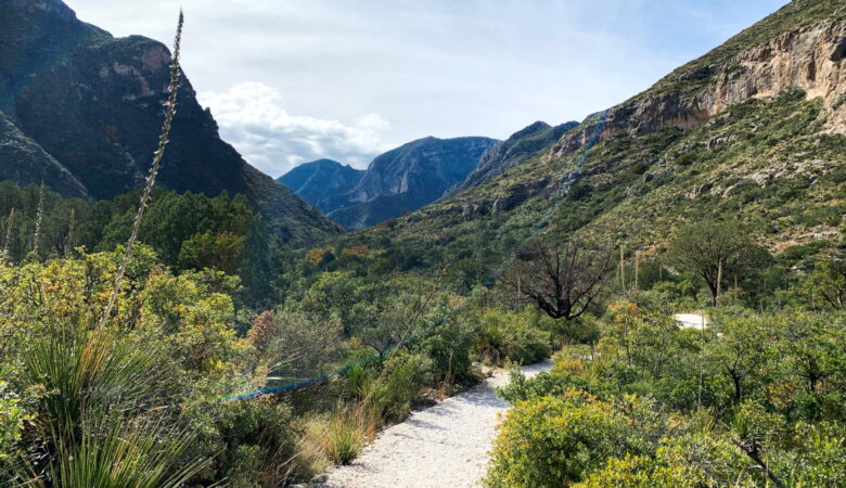 The Trail to The Notch at Guadalupe Mountains