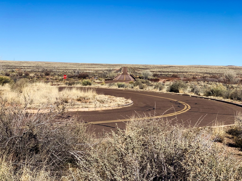 Road through Petrified Forest National Park