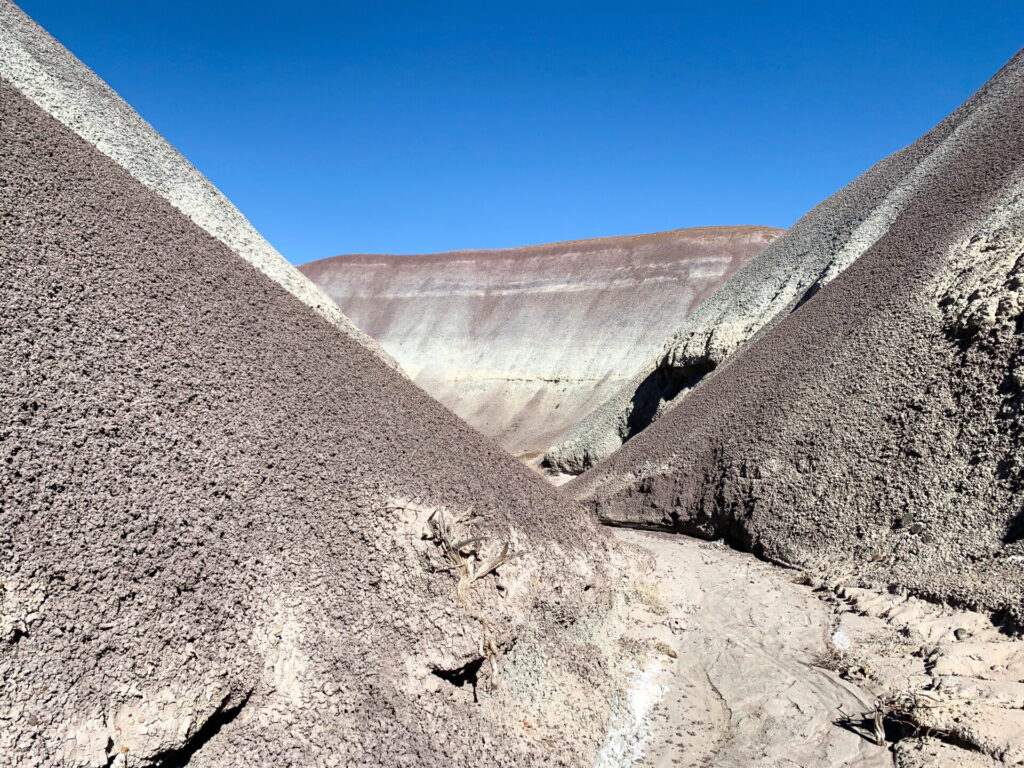 Blue Mesa Trail