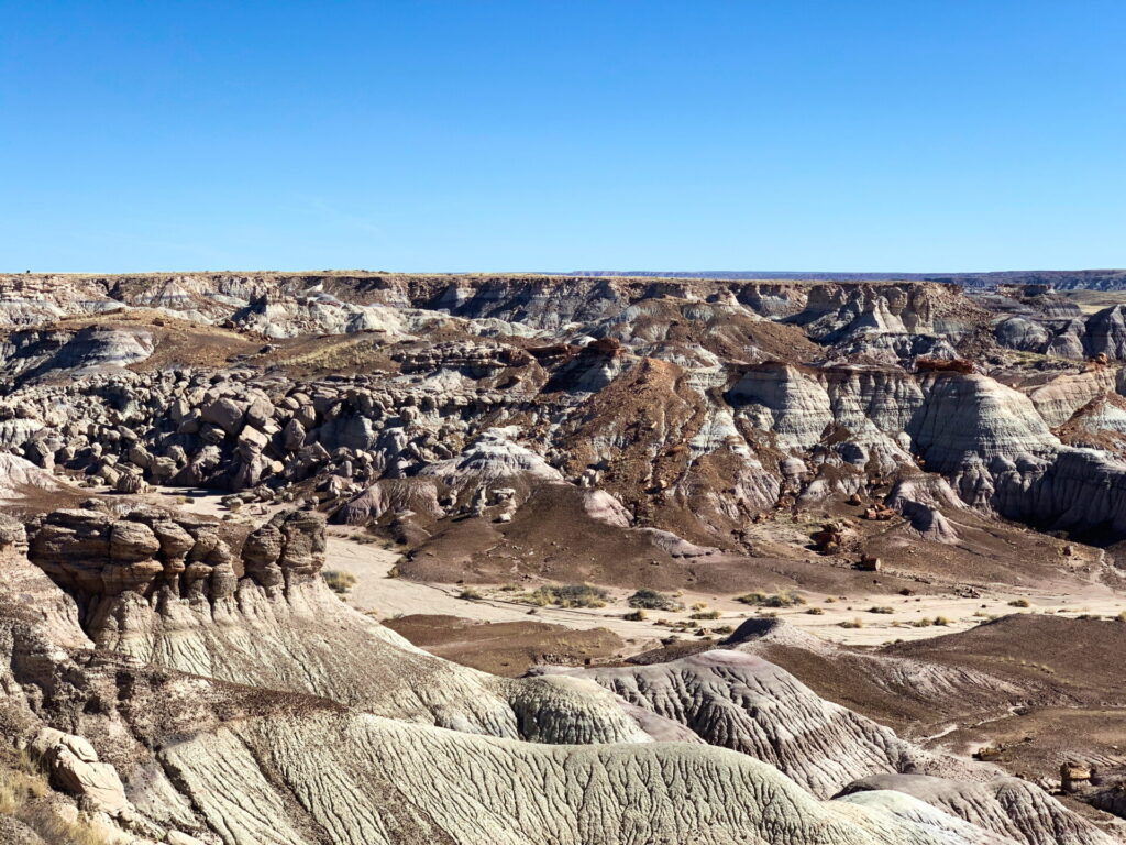 Blue Forest Overlook