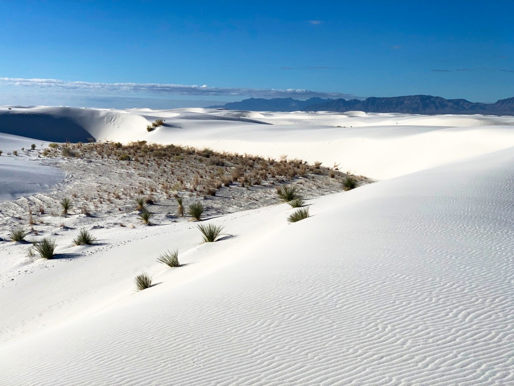 On the Backcountry Trail at White Sands National Park