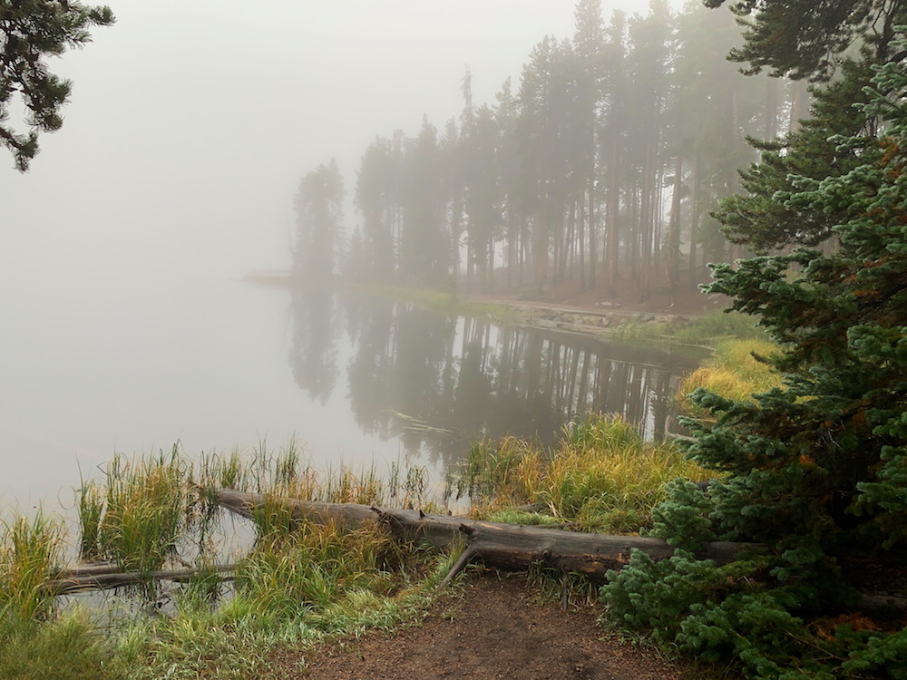 Sprague Lake Through the Fog