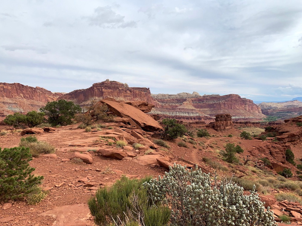 Things to Do on a Quick Visit to Capitol Reef National Park