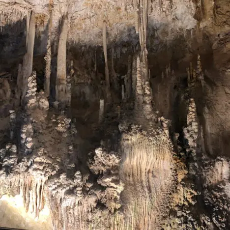 8 Great Things to Do at White Sands National Park