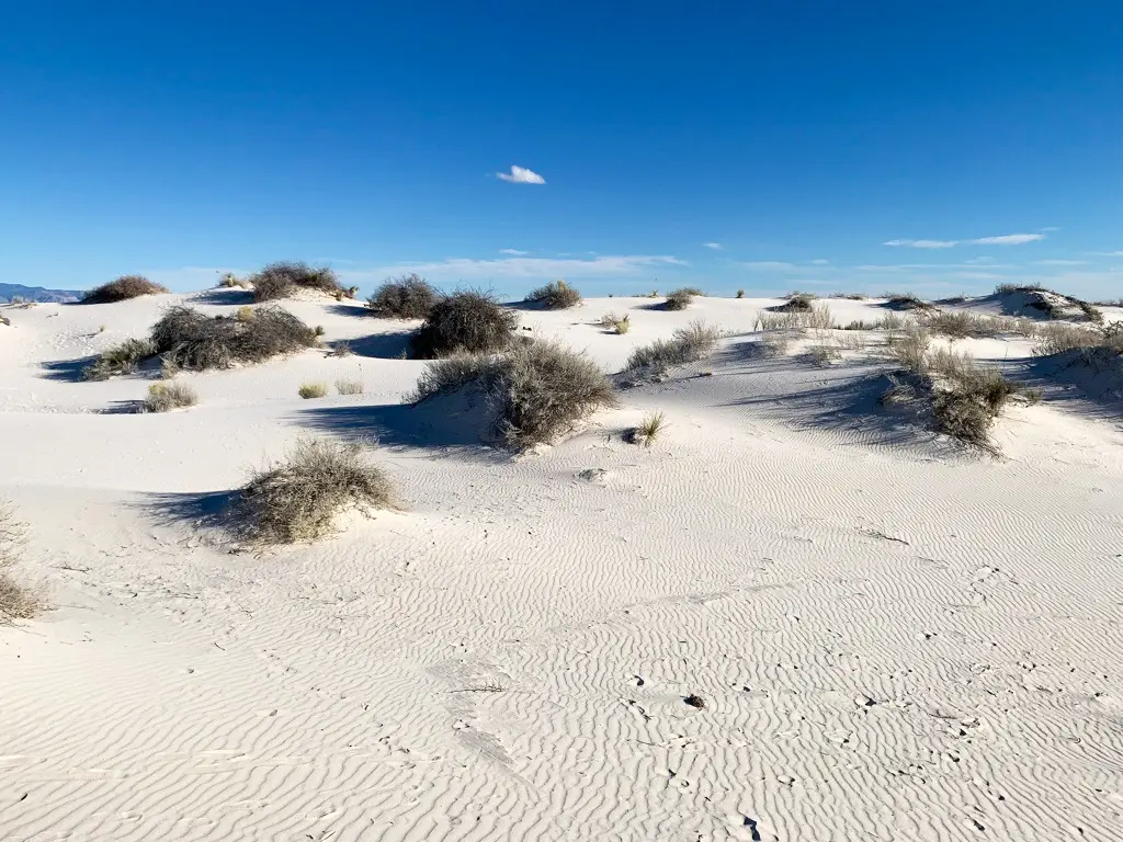 End of Boardwalk Trial
