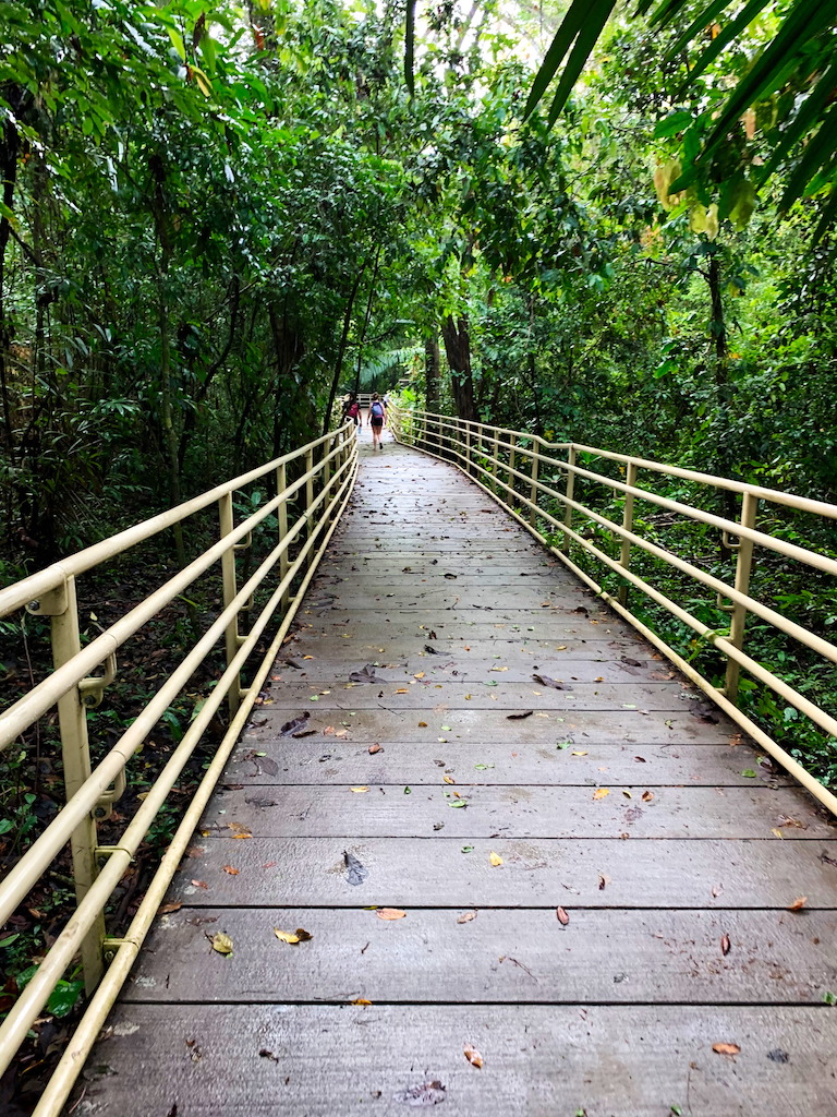 Walking path at Manuel Antonio National Park