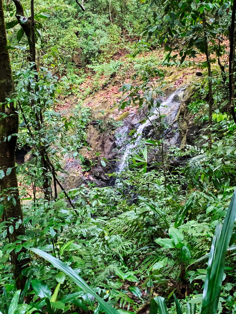 A waterfall at Manuel Antonio National Park