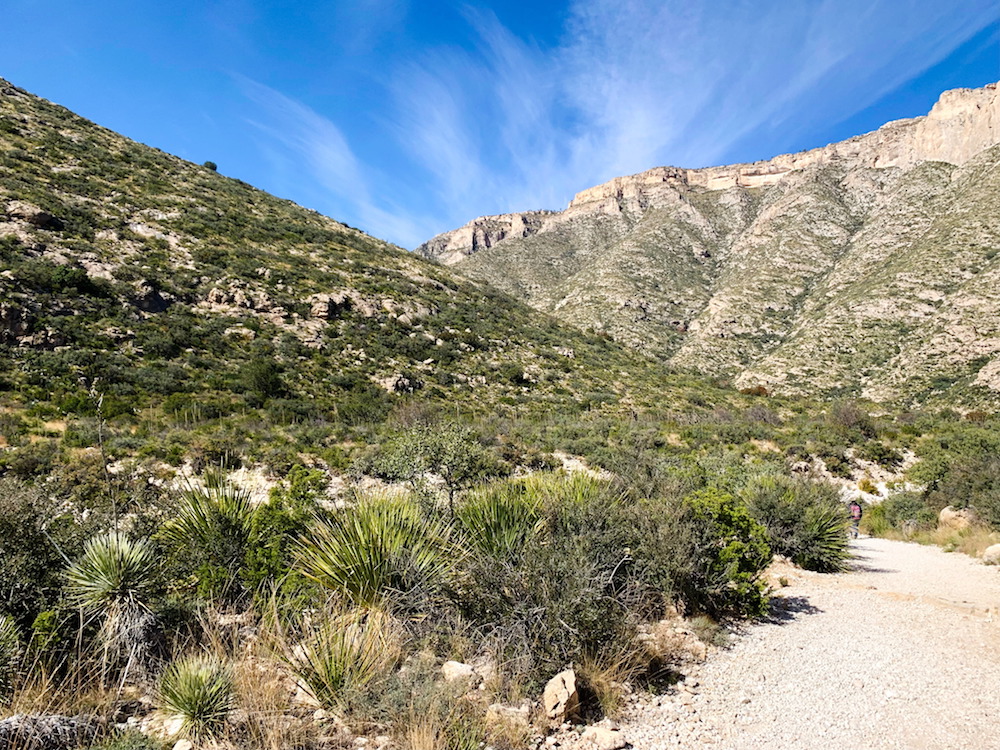A Hiking Trail at Guadalupe Mountains National Park