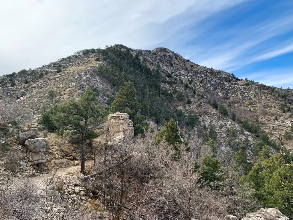 Looking up at Guadalupe Peak
