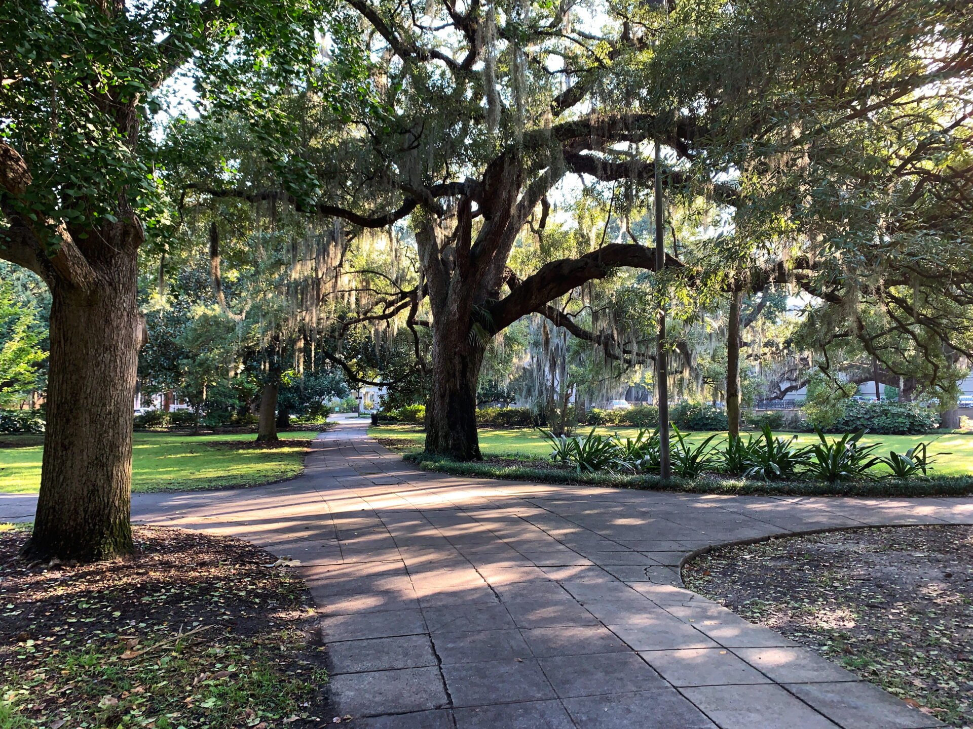 10 Fun Things to Do With One Day in Savannah, GA