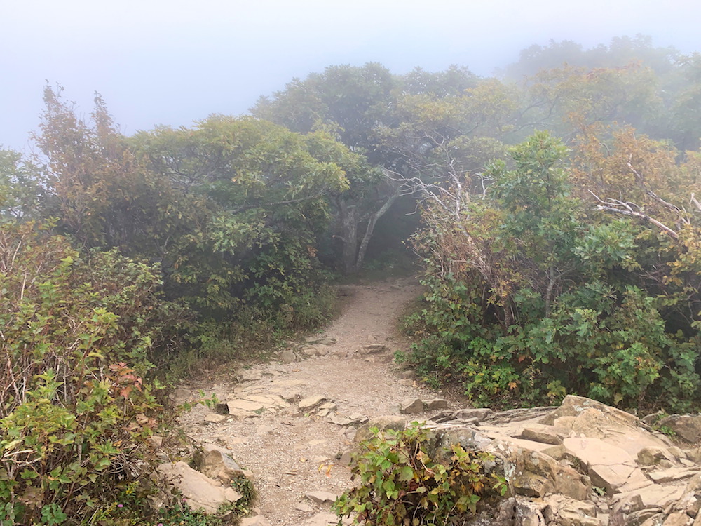 End of the Stony Man Trail covered in Fog