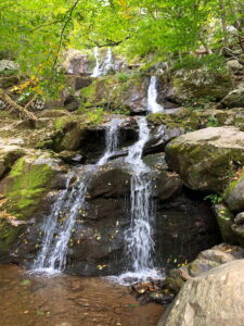 One Day in Shenandoah National Park - Best Things to Do