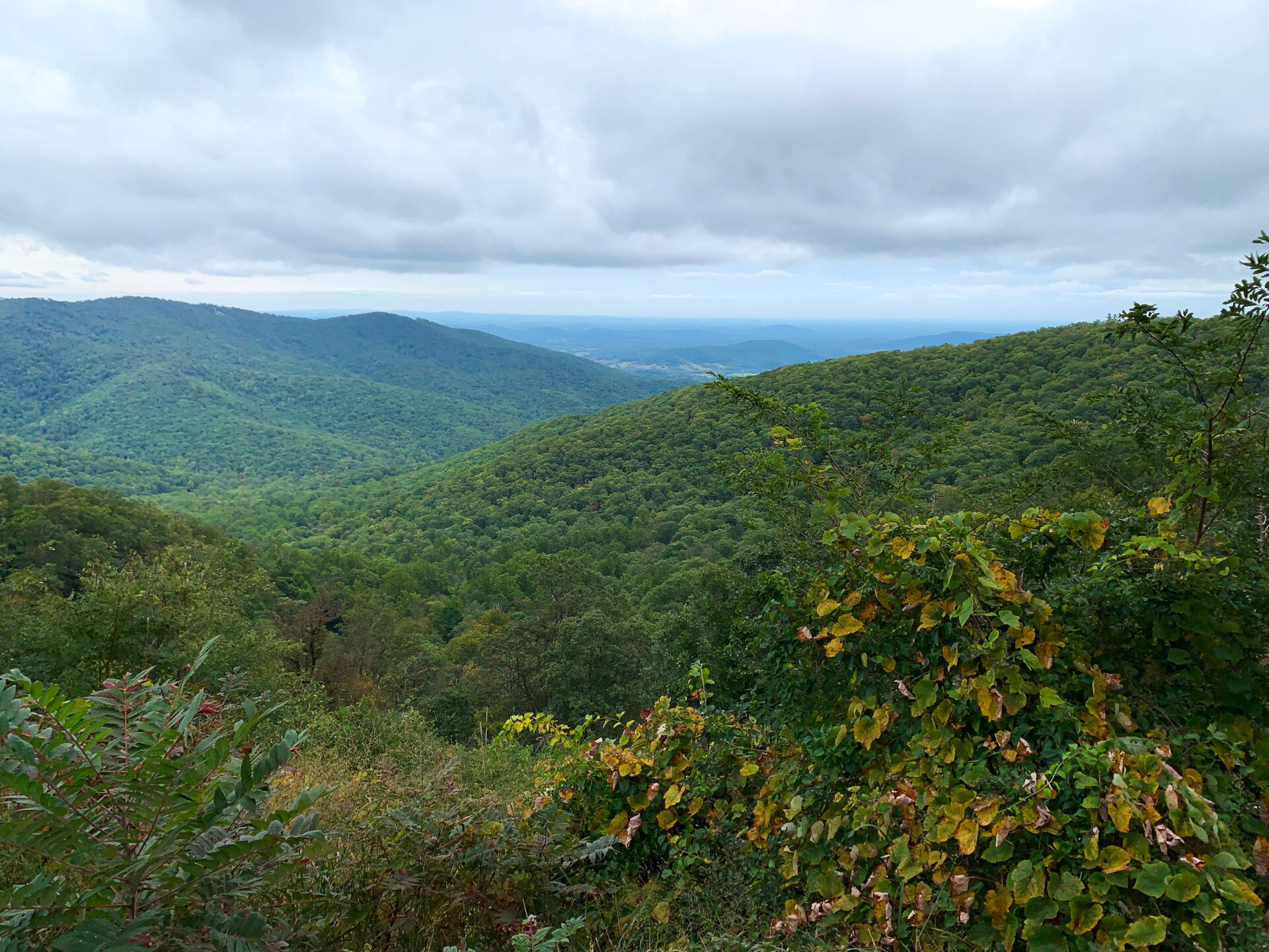 How to Spend One Day in Shenandoah National Park