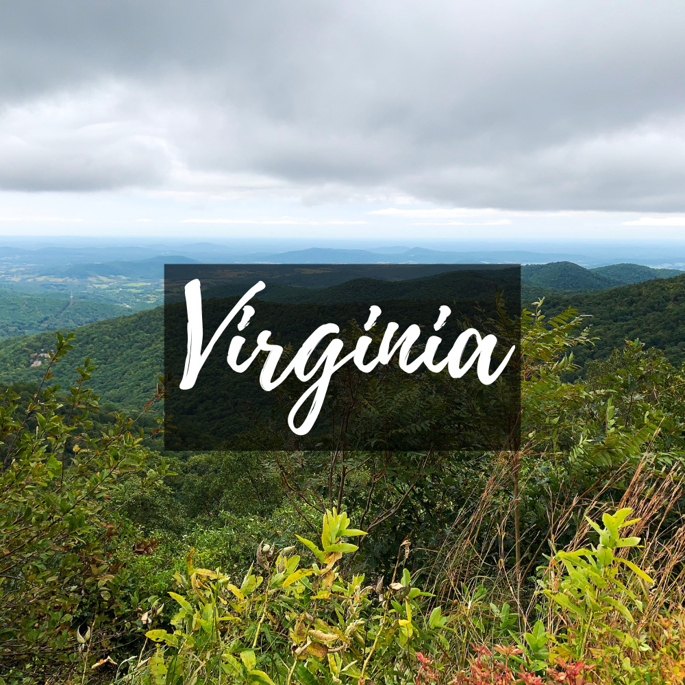 Virginia Icon