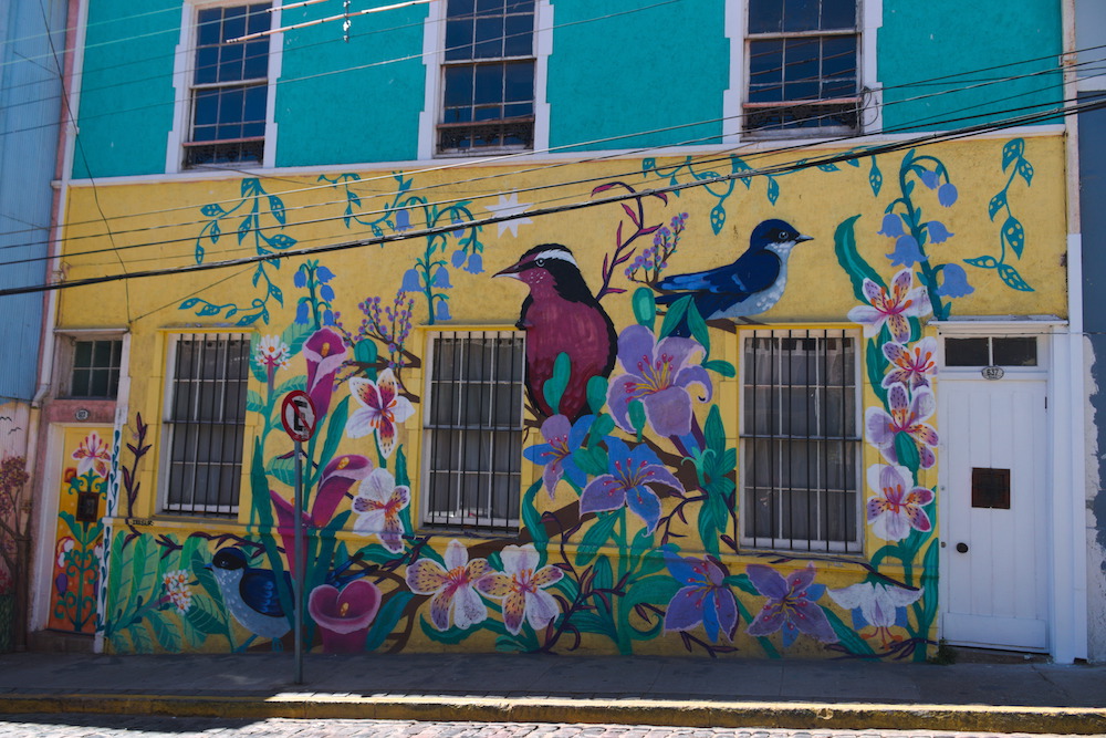 Street art in Valparaiso, Chile