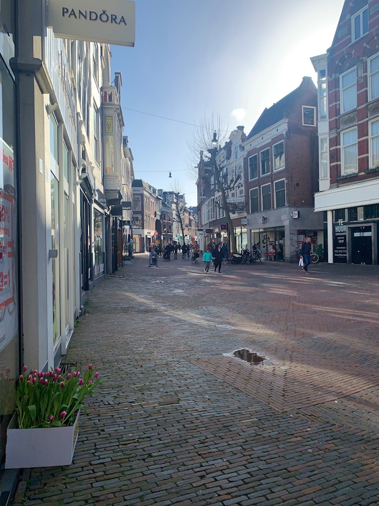 A street in Haarlem