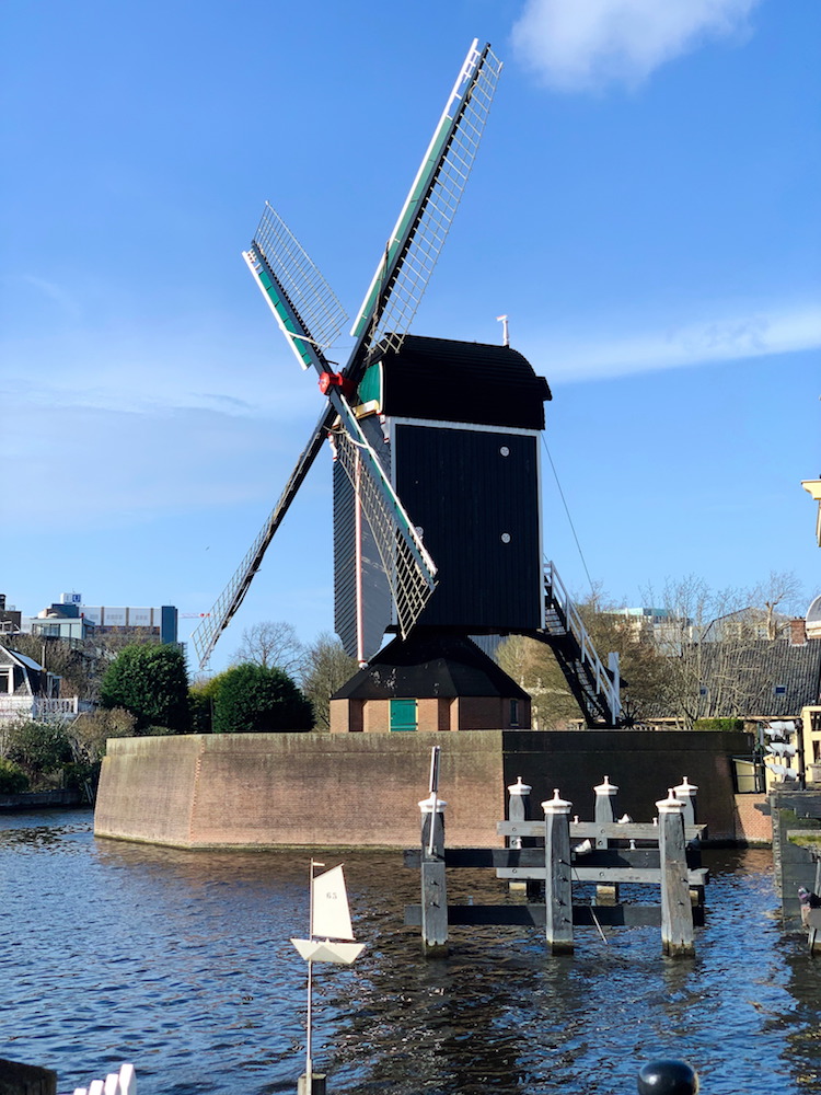 Molenmuseum De Valk (Windmill in Leiden)