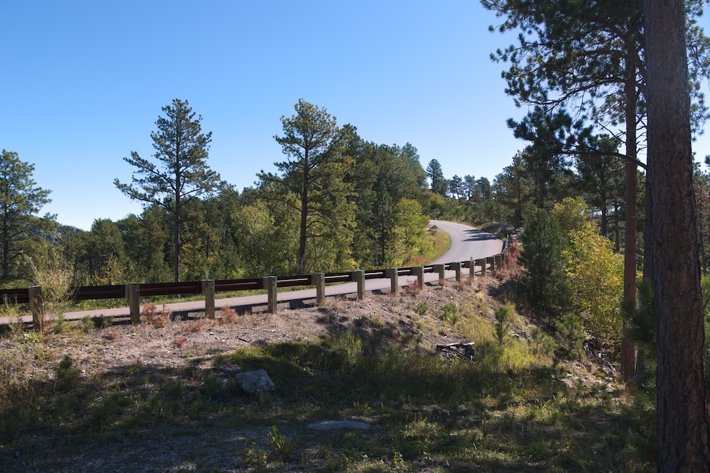 A road through Custer State Park