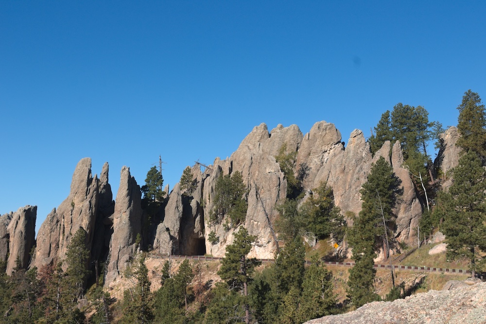 View of The Needles at Custer State Park