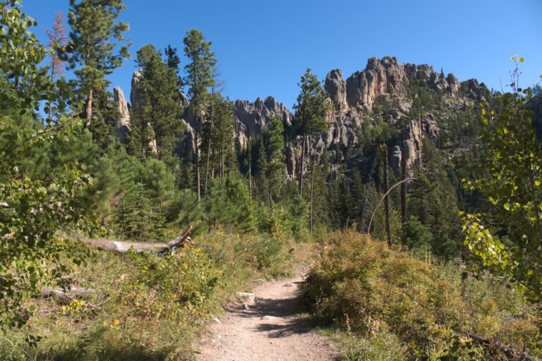 Cathedral Spires at Custer State Park