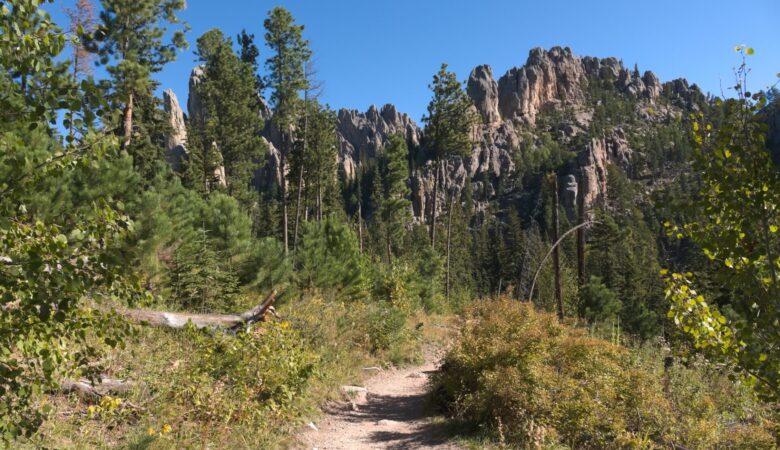Cathedral Spires at Custer State Park