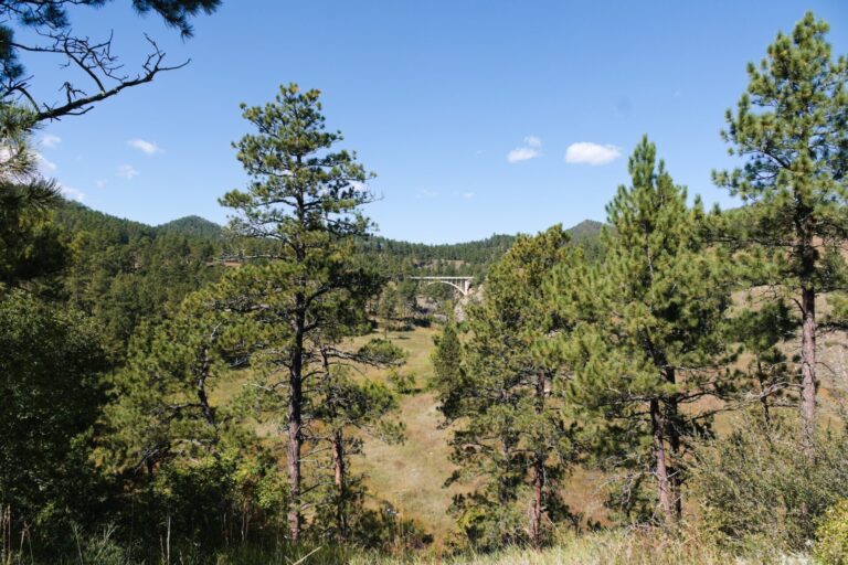 An Overlook at Wind Cave National Park