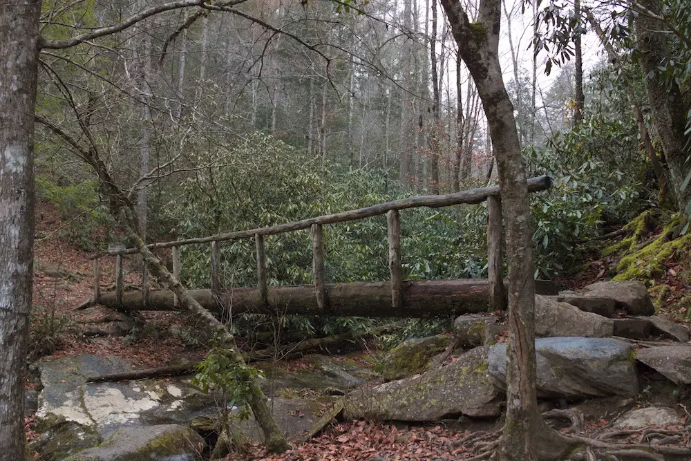 On the Abrams Falls Trail