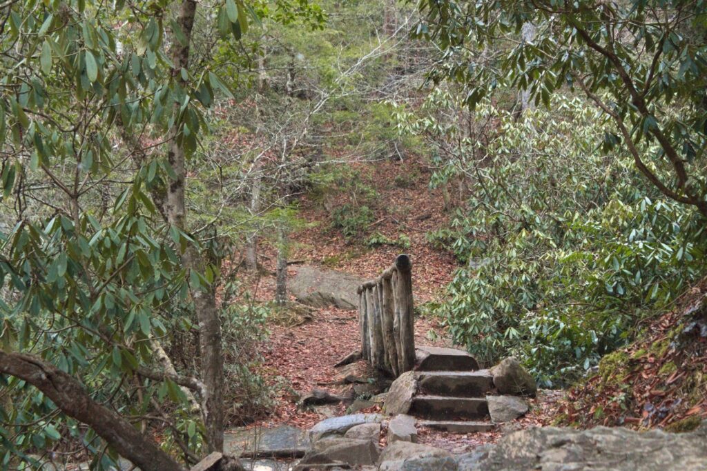 The trail to Abrams Falls at Great Smoky Mountains National Park