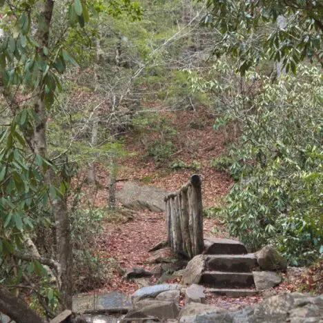 The Best Waterfalls in Great Smoky Mountains National Park