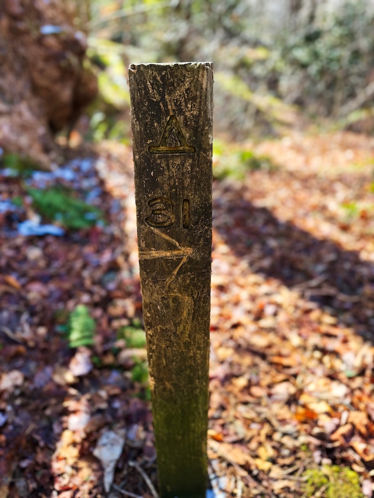 Sign post on the Porters Creek Trail