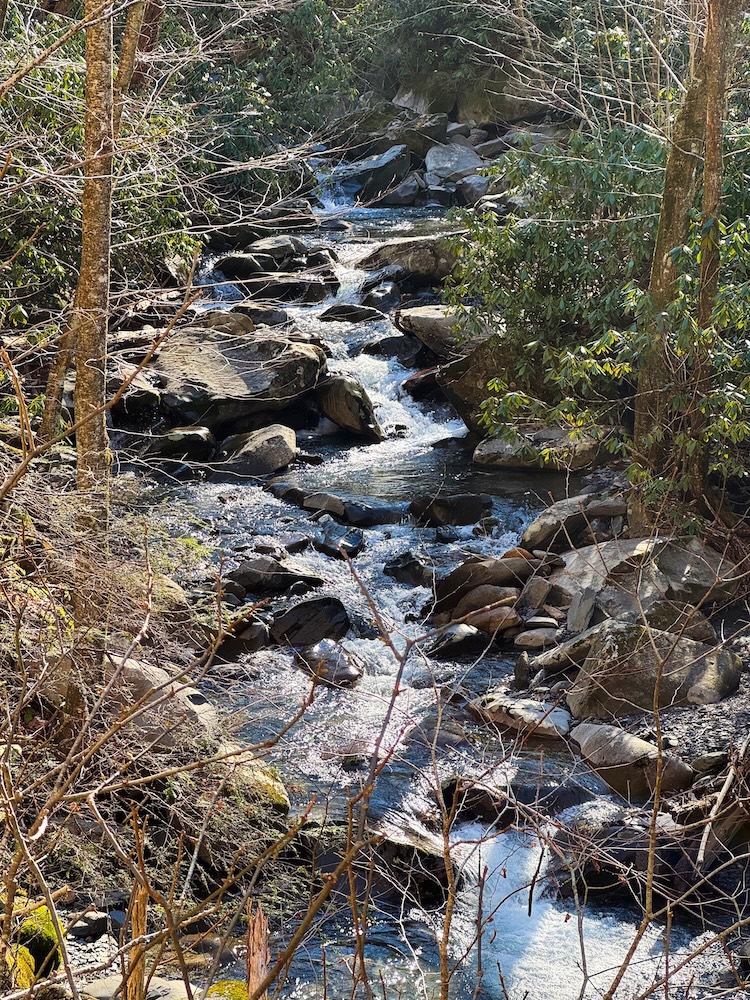 A creek along the Porters Creek Trail