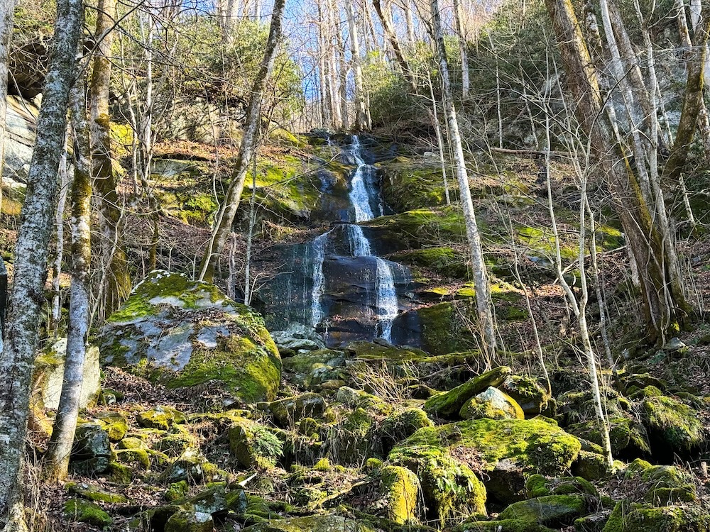 Fern Branch Falls at Great Smoky Mountains National Park