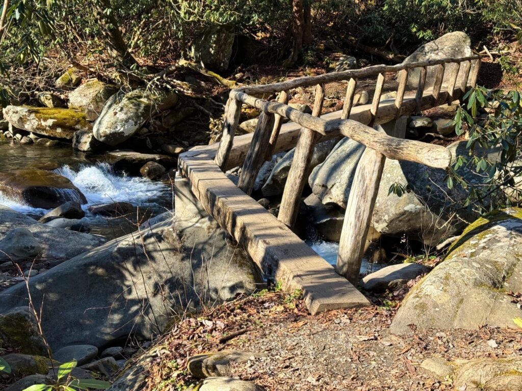 Bridge on the Porters Creek Trail