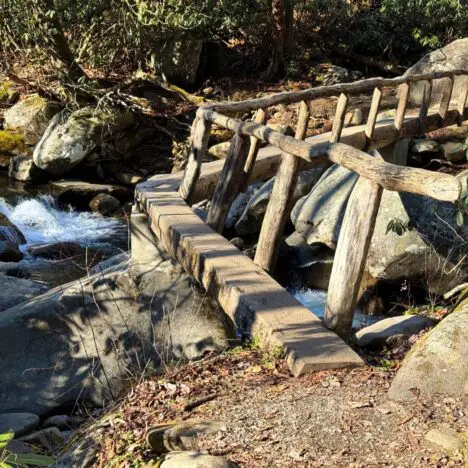 The Best Waterfalls in Great Smoky Mountains National Park