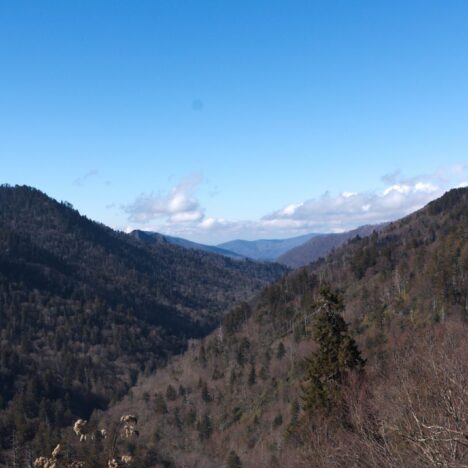 The Best Things to Do at Great Smoky Mountains National Park