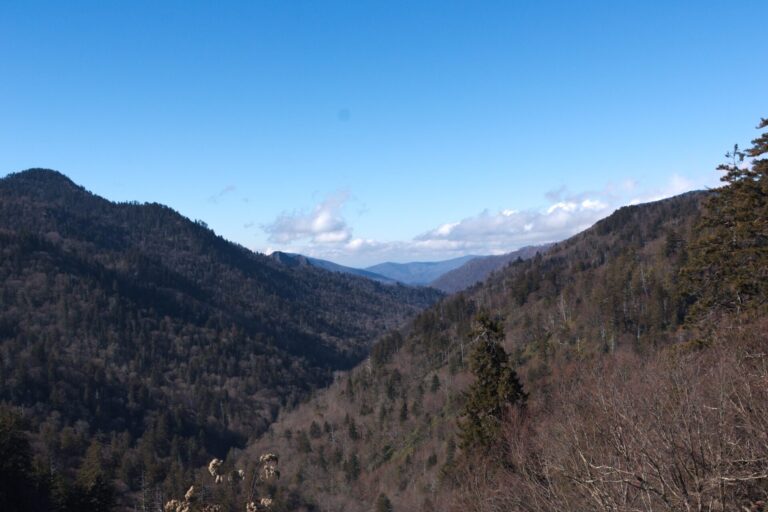 Newfound Gap at Great Smoky Mountains National Park