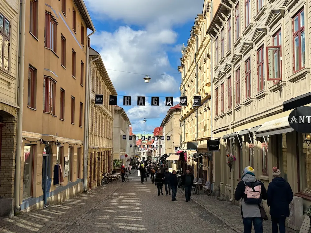 A street in the Haga district